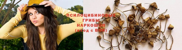мдма Нефтегорск