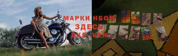 прущая мука Нея