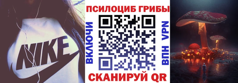 Галлюциногенные грибы Psilocybine cubensis  Купить где  Славск 